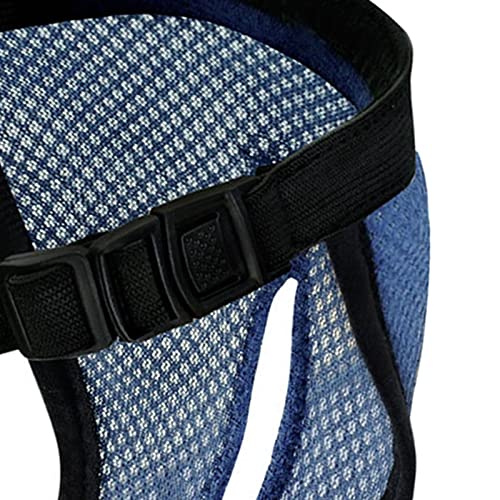 F Fityle 4X Physiologische Hose für Hunde, Hygienehöschen, Slips, Shorts, Hose, Unterwäsche, Unterhose, Bauchband, L BLAU F Fityle 4X Physiologische Hose für Hunde, Hygienehöschen, Slips, Shorts, Hose, Unterwäsche, Unterhose, Bauchband, L BLAU von F Fityle