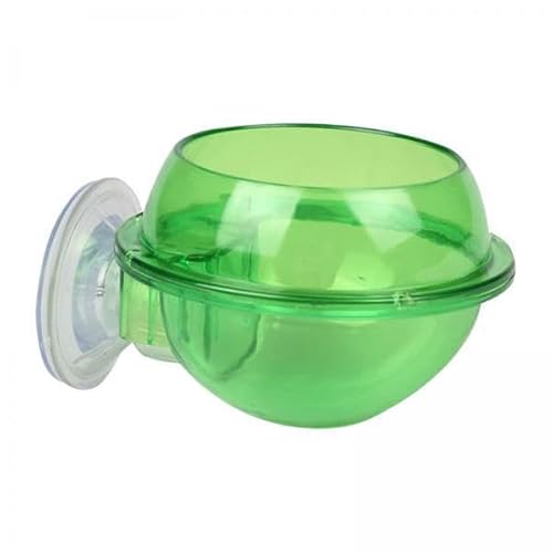 F Fityle 5 X Reptilien Futternapf, Futternapf für Reptilien, Einfach zu Installierender Terrarium Futternapf für Futter Und Wasser für Eidechsen, Schildkröten, Grün, 6 STK. F Fityle 5 X Reptilien Futternapf, Futternapf für Reptilien, Einfach zu Installierender Terrarium Futternapf für Futter Und Wasser für Eidechsen, Schildkröten, Grün, 6 STK. von F Fityle