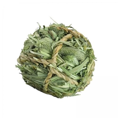 F Fityle 5X Kaninchen Kauspielzeug Lieschgras Heuball Kleintiere Backenspielzeug Käfig Zum Aufhängen für Ratten, Chinchillas, F Fityle 5X Kaninchen Kauspielzeug Lieschgras Heuball Kleintiere Backenspielzeug Käfig Zum Aufhängen für Ratten, Chinchillas, von F Fityle