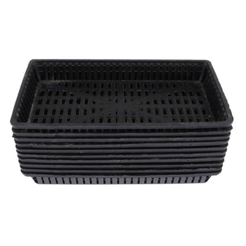 F Fityle 5x10x Aquatische Pflanzen Korb Wasser Pflanze Gras Pflegen Pflanzen Schwarz, Schwarz, 6 STK. F Fityle 5x10x Aquatische Pflanzen Korb Wasser Pflanze Gras Pflegen Pflanzen Schwarz, Schwarz, 6 STK. von F Fityle
