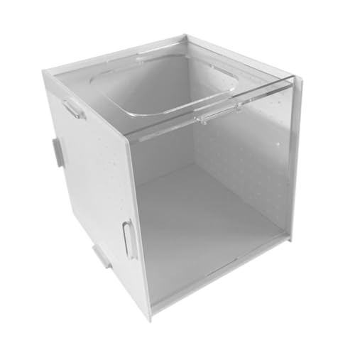 F Fityle Aquarium Breeder Box Inkubator klarer Kindergarten einfache Installation Trennzeichen Brut -Isolation Box für Guppy Fisch, 15x15x15cm von F Fityle