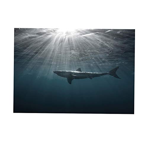 F Fityle Aquarium Hintergrund, M von F Fityle