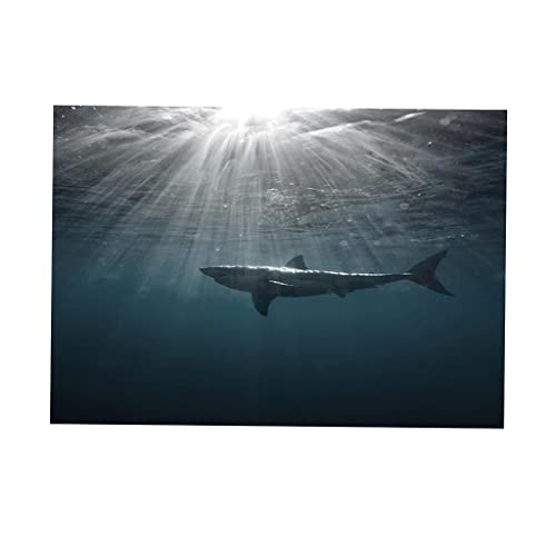 F Fityle Aquarium Hintergrund, XXL von F Fityle