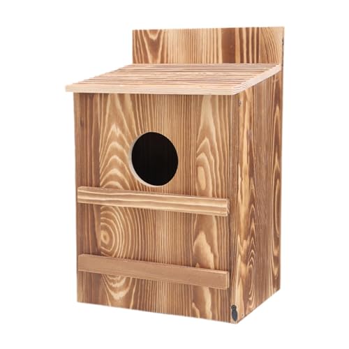 F Fityle Bird House Eule Holz geschützt warme Ort Dekoration Holz Vogelhaus Outdoor Vogelkiste für Außenhof Hof von F Fityle