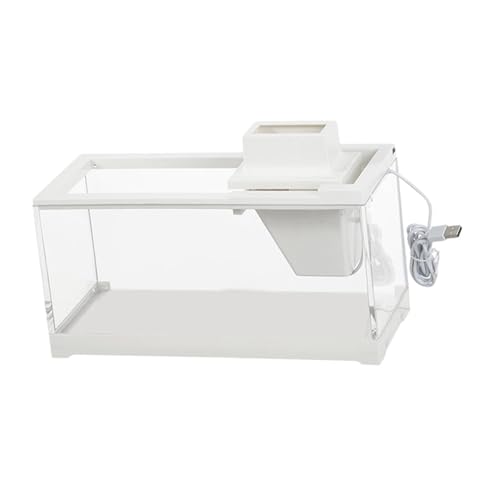 F Fityle Desktop-Aquarium, transparent, mit Zubehör für Wasserfilterpumpe, kleines Aquarium, weiß für Zuhause, Desktop, Büro, Schildkröte, mit Pumpe und Licht von F Fityle