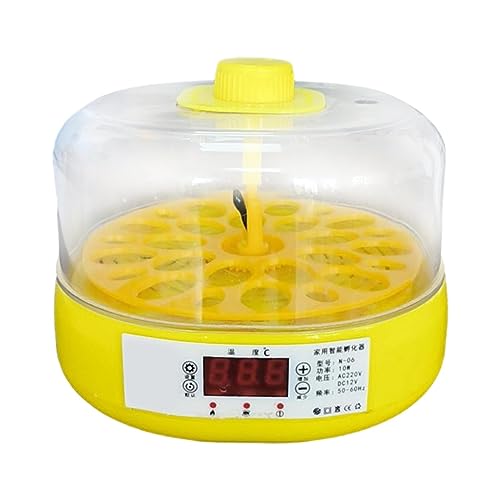 F Fityle Eierinkubator für Brutbretter – fasst 18 Eier – automatische Temperaturregelung, 360-Grad-Ansicht mit transparentem Deckel, Komplett automatisch von F Fityle