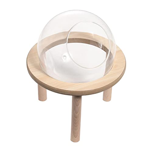 F Fityle Hamster-Sandbad-Container, Hamster-Sandbad-Box groß groß, Haustier-Spielzeug-Duschraum transparent, Holz-Badezimmer-Kleintier-Bad für Rennmaus-Mäuse, 15CM von F Fityle