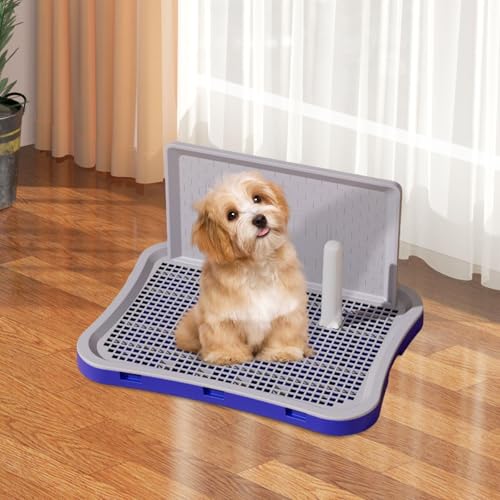 F Fityle Hundetoilette halten Boden sauber mit hoher hält trocken kein verschüttetes Hundedrüsenbox Hunde Peehalter für Wohnung, Klein Blau F Fityle Hundetoilette halten Boden sauber mit hoher hält trocken kein verschüttetes Hundedrüsenbox Hunde Peehalter für Wohnung, Klein Blau von F Fityle
