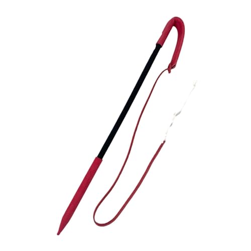 F Fityle Hundetraining Peitsche Teaser tragen resistente interaktive Spielzeugwand, Schwarz Rot von F Fityle
