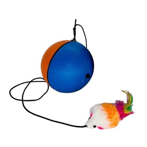 F Fityle Interaktiver Katzenspielzeugball, automatisches Haustier-Verbrauchsspielzeug, Maus, Katzenspielzeug, lustiger Katzentrainingsball für Schlafzimmer, Blau Orange F Fityle Interaktiver Katzenspielzeugball, automatisches Haustier-Verbrauchsspielzeug, Maus, Katzenspielzeug, lustiger Katzentrainingsball für Schlafzimmer, Blau Orange von F Fityle