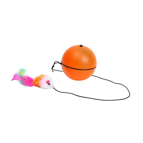F Fityle Interaktiver Katzenspielzeugball, automatisches Haustier-Verbrauchsspielzeug, Maus, Katzenspielzeug, lustiger Katzentrainingsball für Schlafzimmer, Orange F Fityle Interaktiver Katzenspielzeugball, automatisches Haustier-Verbrauchsspielzeug, Maus, Katzenspielzeug, lustiger Katzentrainingsball für Schlafzimmer, Orange von F Fityle