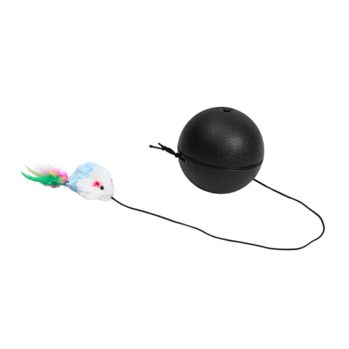 F Fityle Interaktiver Katzenspielzeugball, automatisches Haustier-Verbrauchsspielzeug, Maus, Katzenspielzeug, lustiger Katzentrainingsball für Schlafzimmer, Schwarz F Fityle Interaktiver Katzenspielzeugball, automatisches Haustier-Verbrauchsspielzeug, Maus, Katzenspielzeug, lustiger Katzentrainingsball für Schlafzimmer, Schwarz von F Fityle