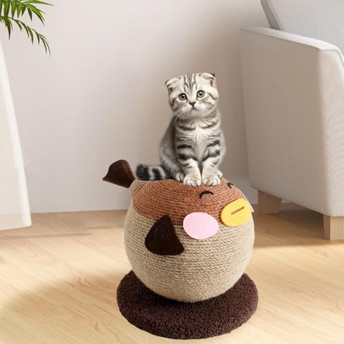 F Fityle Katze Kratzbugel Katze Kratzer Geschenk Süßes stilvolle Wohnkulturkrallen Mahlen Kätzchen Möbelschutz Interaktives Spielzeug, Kaffee F Fityle Katze Kratzbugel Katze Kratzer Geschenk Süßes stilvolle Wohnkulturkrallen Mahlen Kätzchen Möbelschutz Interaktives Spielzeug, Kaffee von F Fityle