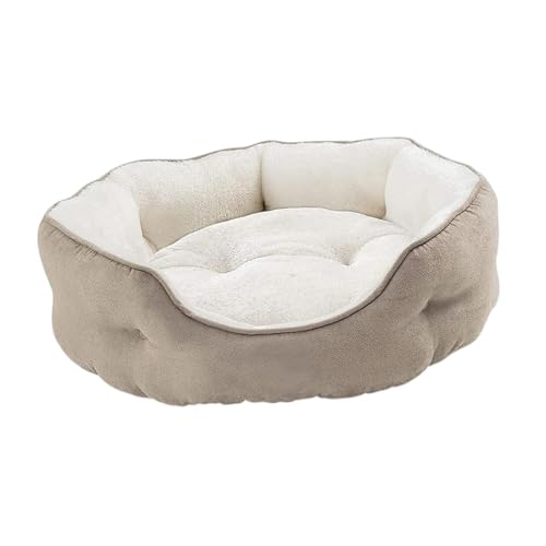 F Fityle Katzenbett, Katzennest, rutschfeste Unterseite, waschbar, weich, Schlummerschlaf für Hauskatzen, Hundebett für Hunde, Katzen, Kätzchen, Welpen, Khaki M F Fityle Katzenbett, Katzennest, rutschfeste Unterseite, waschbar, weich, Schlummerschlaf für Hauskatzen, Hundebett für Hunde, Katzen, Kätzchen, Welpen, Khaki M von F Fityle