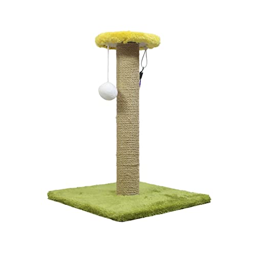 F Fityle Katzenkratzbaum Sisalseil Kratzbaum Kitty Kratzstange Schützen Sie Ihre Möbel Kätzchen Katzenpfosten Interaktives Spielzeug für kleine Katzen im, Quadratisches Grün F Fityle Katzenkratzbaum Sisalseil Kratzbaum Kitty Kratzstange Schützen Sie Ihre Möbel Kätzchen Katzenpfosten Interaktives Spielzeug für kleine Katzen im, Quadratisches Grün von F Fityle