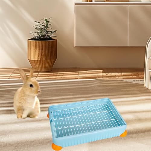 F Fityle Katzentoilette für Häschen, Ecktoilette, Katzentoilette, Ecktoilette für Haustiere, Hundetöpfchen, Tablett für Hamster, Meerschweinchen, L, Blau F Fityle Katzentoilette für Häschen, Ecktoilette, Katzentoilette, Ecktoilette für Haustiere, Hundetöpfchen, Tablett für Hamster, Meerschweinchen, L, Blau von F Fityle