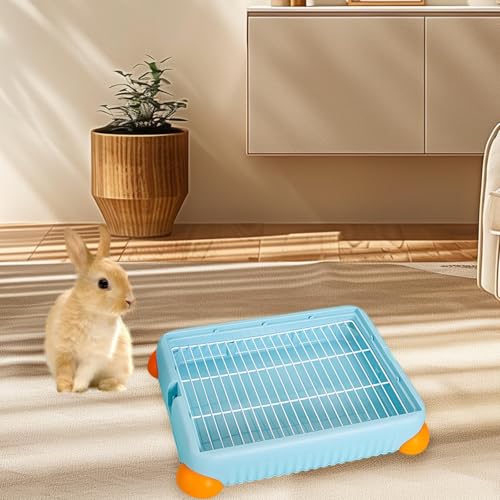 F Fityle Katzentoilette für Häschen, Ecktoilette, Katzentoilette, Ecktoilette für Haustiere, Hundetöpfchen, Tablett für Hamster, Meerschweinchen, S, Blau F Fityle Katzentoilette für Häschen, Ecktoilette, Katzentoilette, Ecktoilette für Haustiere, Hundetöpfchen, Tablett für Hamster, Meerschweinchen, S, Blau von F Fityle