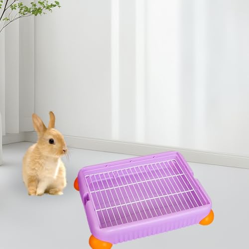 F Fityle Katzentoilette für Häschen, Ecktoilette, Katzentoilette, Ecktoilette für Haustiere, Hundetöpfchen, Tablett für Hamster, Meerschweinchen, S, Lila von F Fityle