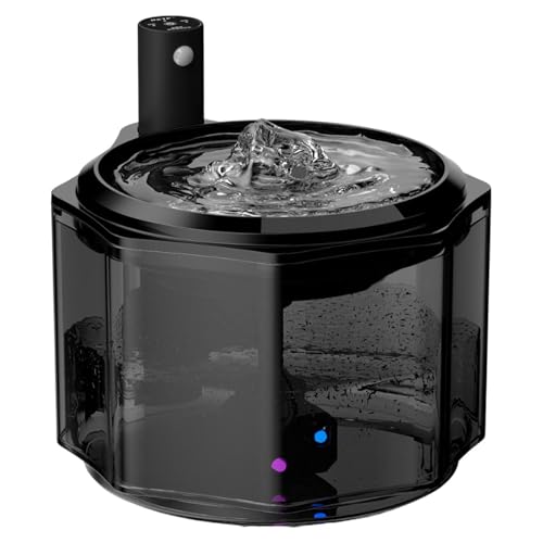 F Fityle Katzenwasserbrunnen, Haustierwasserbrunnen, geräuscharm, Filterung, automatischer Katzenbrunnen für Hunde, mehrere Haustiere, Katzen, Kätzchen, Schwarz F Fityle Katzenwasserbrunnen, Haustierwasserbrunnen, geräuscharm, Filterung, automatischer Katzenbrunnen für Hunde, mehrere Haustiere, Katzen, Kätzchen, Schwarz von F Fityle