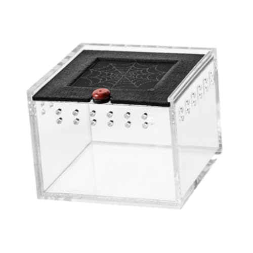 F Fityle Reptilien -Fütterungsbox Tier Habitat Käfig Gehege tragbare Schlange Zuchtbox Reptilien -Terrarium für Hamster Seidenwürfelzubehör, Klar von F Fityle