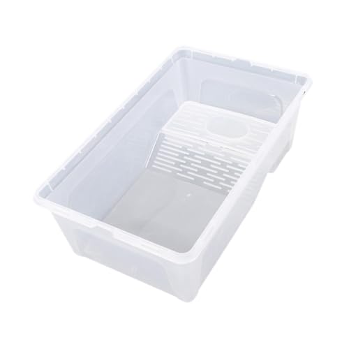 F Fityle Schildkrötenpanzer mit Plattform Multifunktionaler Fläche Schluckgebiet Pet Display Container Reptilien -Brutschachtel für Froschschildkröten, S von F Fityle