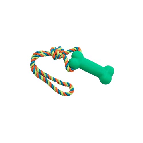 F Fityle Seilkauspielzeug für Hunde, quietschendes Seilspielzeug, langlebiges Training, Reinigung mit Quietschgeräusch, Spielzeug, bissfestes Seilspielzeug, GRÜN von F Fityle