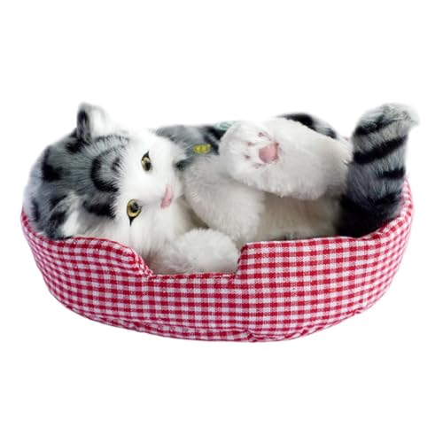 F Fityle Simulation schöne Katze Schlafkatzen Spielzeug schlafende Katzen auf Matte Geschenk vielseitig Mini Kätzchen in Pet Pad Decor Begleiter Katze, Graue Katze F Fityle Simulation schöne Katze Schlafkatzen Spielzeug schlafende Katzen auf Matte Geschenk vielseitig Mini Kätzchen in Pet Pad Decor Begleiter Katze, Graue Katze von F Fityle