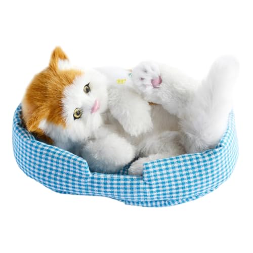 F Fityle Simulation schöne Katze Schlafkatzen Spielzeug schlafende Katzen auf Matte Geschenk vielseitig Mini Kätzchen in Pet Pad Decor Begleiter Katze, Kopf Orange Katze F Fityle Simulation schöne Katze Schlafkatzen Spielzeug schlafende Katzen auf Matte Geschenk vielseitig Mini Kätzchen in Pet Pad Decor Begleiter Katze, Kopf Orange Katze von F Fityle