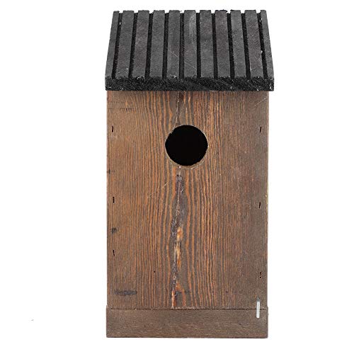 Deluxe Zedernholz Vogelhaus Kit Outdoor Hängende Vogelhäuser für Bluebird Zaunkönig Finken DIY Vogel Nistkasten & Futterstation für Garten Fenster Baumschmuck mit Eichhörnchenschutz von F&Y