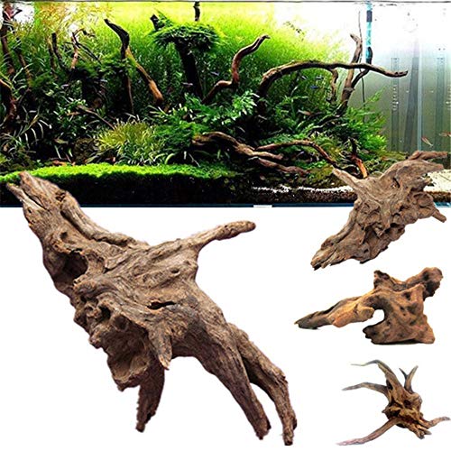 F.lashes Decor-Wurzel -Mangrove Scaper Root Mangrovenwurzel für Aquarien und Terrarien Natürlichen Stamm Wurzel Holz Fisch Tank Dekoration von F.lashes