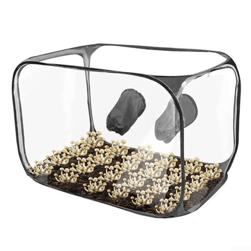 Transparente Standluftbox, einfache Handhabung mit Handschuhen, 360-Grad-Beobachtung (schwarz) von FACAIIO