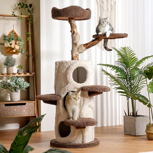 Moderner Kratzbaum für Zimmerkatzen, Luxus-Katzenturm mit gemütlicher Sitzstange, mehrstöckige Katzenwohnung mit Kratzbaum, robuste Katzenmöbel für kleine mittelgroße Katzen von FAFAIR