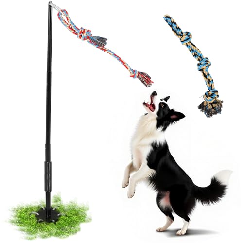 Hundespielzeug zum Tauziehen, interaktives Hundespielzeug mit 2 Seilen im Hofpark für große, mittelgroße und kleine Hunde von FAHKNS
