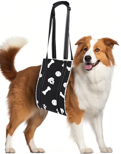 Hunde-Hebegeschirr, verstellbare Hundetragetasche für Hinterbeine, Mobilitätshilfe, Stützschlinge für Hinterbeine, Haustier-Beinheber für mittelgroße und große Hunde, Senioren, verletzt, behindert, Hunde-Hebegeschirr, verstellbare Hundetragetasche für Hinterbeine, Mobilitätshilfe, Stützschlinge für Hinterbeine, Haustier-Beinheber für mittelgroße und große Hunde, Senioren, verletzt, behindert, von FALUCKYY