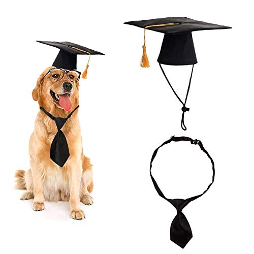 FAMKIT Haustier-Abschluss-Mütze mit gelber Quaste und schwarzer Krawatte, Party-Kostüm für Hunde und Katzen von FAMKIT