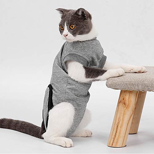 FAMKIT Katzen-Erholungsanzug, Erholungsanzug für Katzen nach Operationen, Alternative E-Halsbandagen, professionelle chirurgische Haustierkleidung Shirts für Bauchwunden und Hauterkrankungen von FAMKIT