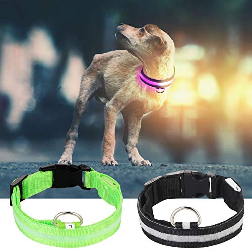 FAMKIT LED-Hundehalsband, leuchtendes Haustierhalsband für Nachtsicherheit, Macht Ihren Hund sichtbar, verstellbares Leuchthalsband für kleine, mittelgroße und große Hunde, 2 Stück von FAMKIT