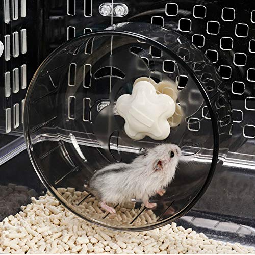 Hamsterlaufrad Laufrad für Hamster Leise Hamster Spielzeug Acryl-Kunststoff rutschfeste Laufscheibe für Hamster Baby Ratten Rennmäuse Zwerghamster von FAMKIT