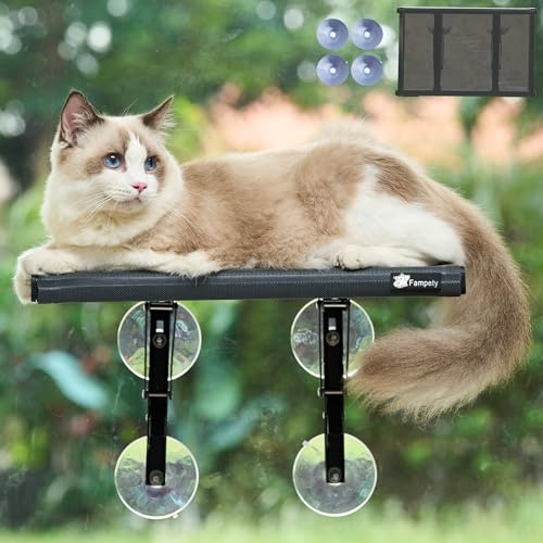 Fampety 43,2 cm kleine Katzen-Fensterstange für engen Raum, faltbar, kabellos, hält bis zu 27,2 kg, 4 Ersatzbecher, vormontiert, leicht zu reinigen, schnell trocknend, 2 Stück 86,4 cm große Fampety 43,2 cm kleine Katzen-Fensterstange für engen Raum, faltbar, kabellos, hält bis zu 27,2 kg, 4 Ersatzbecher, vormontiert, leicht zu reinigen, schnell trocknend, 2 Stück 86,4 cm große von FAMPETY