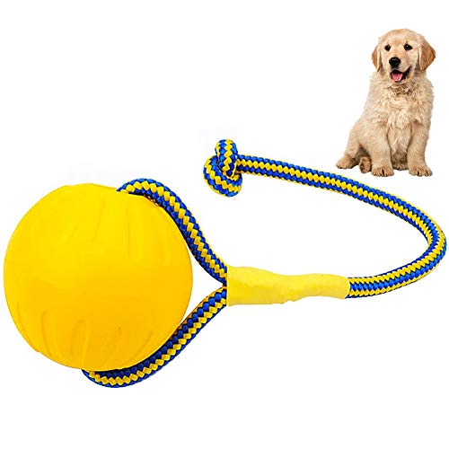 FANDE Wurfball Hund, Naturgummiball Seil, Ball für Hunde, Hundeball Ø 7cm - Perfektes Hundeerziehungs - Übungs und Belohnungsspielzeug für Apportieren, Fangen, Werfen, Tauziehen von FANDE