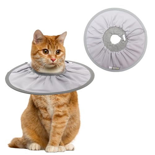 Halskrause Katze,Einstellbarer Halskrause Katze Halsband,Weich Katz-e Wiederherstellung Halsband Kragen Cone,Katzenkragen für Katz-en Kleiner Hunde Nach Operationen und Verletzungen (Grau, M) von FANGCCC