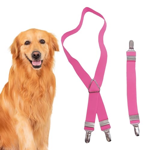 FANGZ Hunde-Hosenträger,Hunde-Windel-Hosenträger | 2 Stück verstellbare Haustierwindel-Antirutsch-Hosenträger,Windelbauchband, Windelhalter, Befestigungswerkzeug für Katzen, Hunde, FANGZ Hunde-Hosenträger,Hunde-Windel-Hosenträger | 2 Stück verstellbare Haustierwindel-Antirutsch-Hosenträger,Windelbauchband, Windelhalter, Befestigungswerkzeug für Katzen, Hunde, von FANGZ