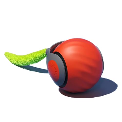 FANNOU Haustier-Spielbälle, Haustier-Begleitspielzeug, geeignet für Katzen und Hunde (L, Rollender Ball) von FANNOU