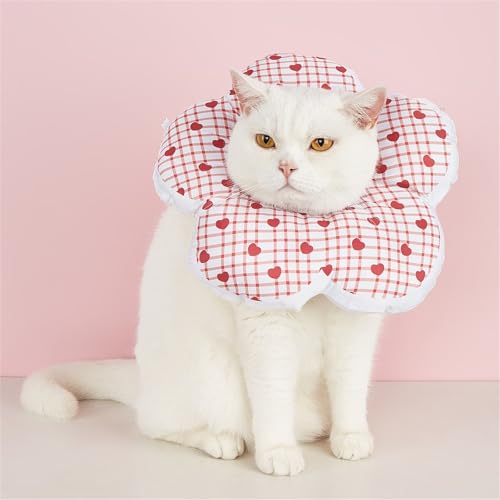 FANSU Halskrause Katze Weich, Soft Halskrausen für Katzen Atmungsaktives Schutzkragen Katze Einstellbarer Schützender Kragen für Katze und Hund (L,Kirsche rot) von FANSU