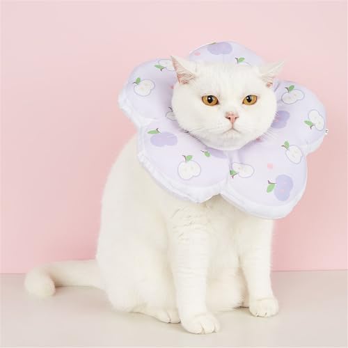 FANSU Halskrause Katze Weich, Soft Halskrausen für Katzen Atmungsaktives Schutzkragen Katze Einstellbarer Schützender Kragen für Katze und Hund (S,Lila Apfel) von FANSU