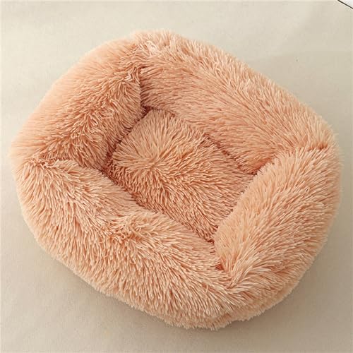 FANSU Hundebett Quadrat Hundekissen Plüsch weichem Hundesofa rutschfest Base Katzenbett Donut für Kleine Mittlere oder große Hunde (L,Champagner) von FANSU