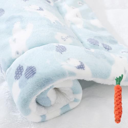 FANSU Hundebett Waschbar Flanell Lambswool Katzenbett Flauschig Hundebetten, Weiche Beruhigende Haustierbett Abnehmbar und Waschbar für Kleine Mittlere Hunde (49x32cm,Blauer Eisbär) von FANSU