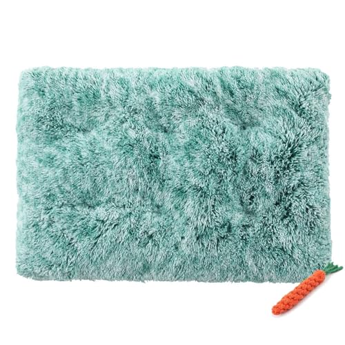 FANSU Hundebett Waschbar Katzenbett Flauschig Hundebetten, Gradientenfarbe Weiche Beruhigende Haustierbett Abnehmbar und Waschbar für Kleine Mittlere oder große Hunde (3XL-125X85CM,Salbei Grün) von FANSU