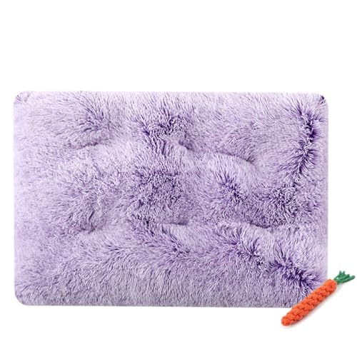 FANSU Hundebett Waschbar Katzenbett Flauschig Hundebetten, Gradientenfarbe Weiche Beruhigende Haustierbett Abnehmbar und Waschbar für Kleine Mittlere oder große Hunde (XL-95X65CM,Purple) von FANSU