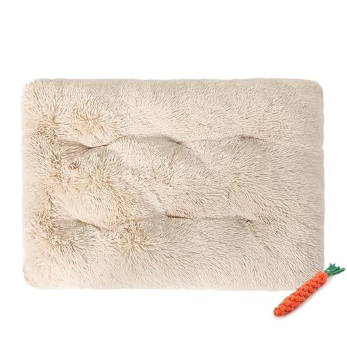 FANSU Hundebett Waschbar Katzenbett Flauschig Hundebetten, Weiche Beruhigende Haustierbett Abnehmbar und Waschbar für Kleine Mittlere oder große Hunde (3XL-125X85CM,Creme Weiß) von FANSU